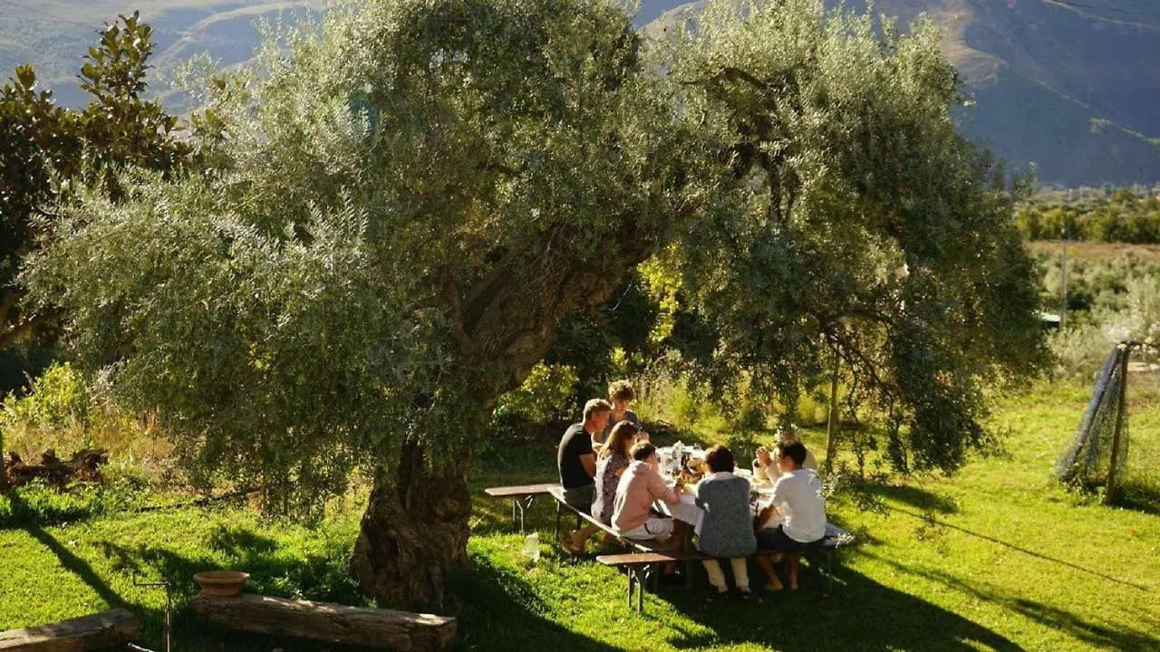 Country house Caserio El Olivo Orgiva