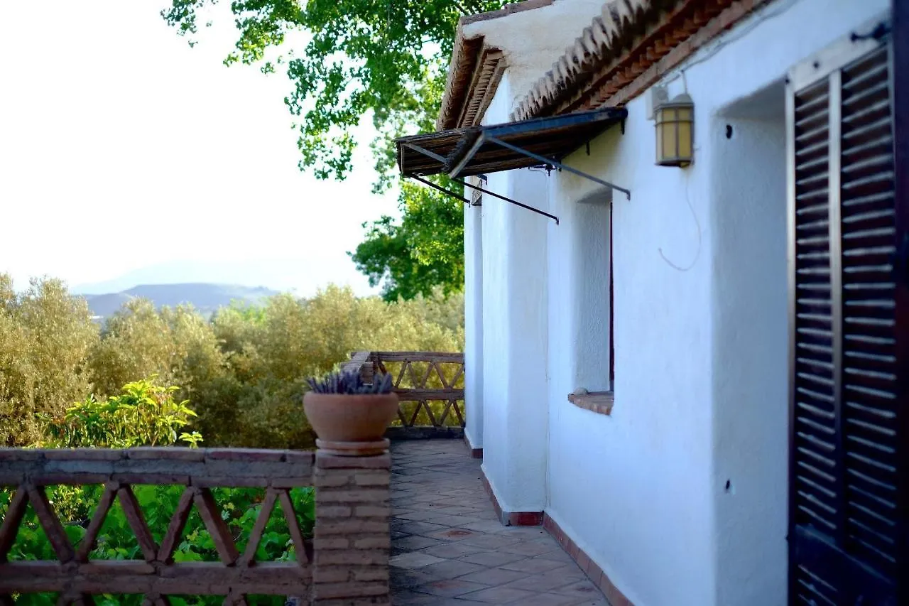 Caserio El Olivo Orgiva Country house